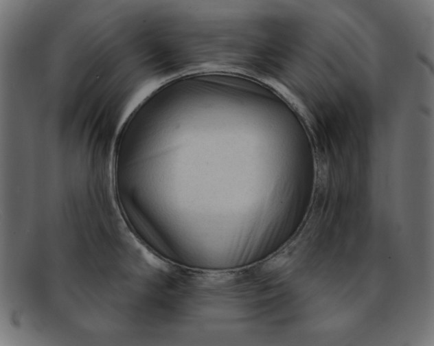 X0000091851294200709191048