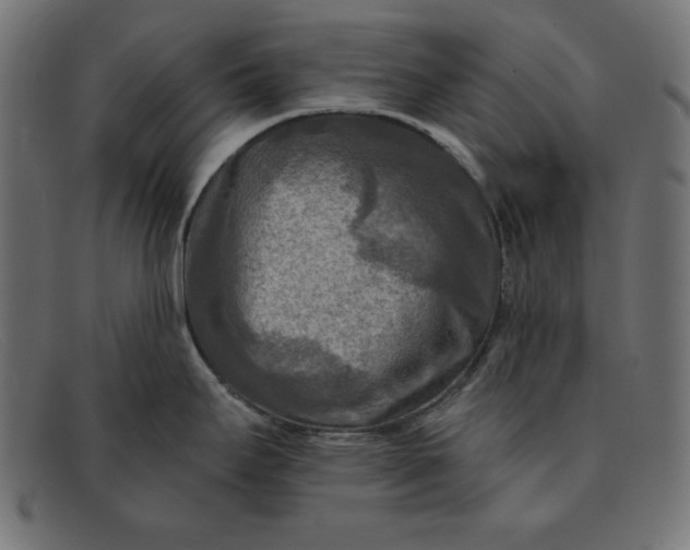 X0000091851295200709191048