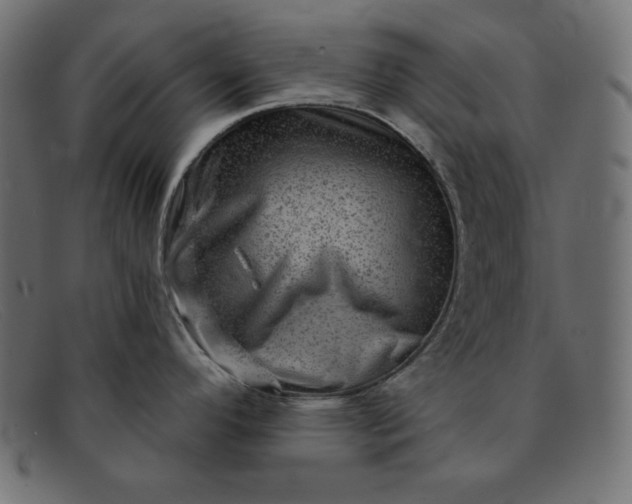 X0000091851296200709191048