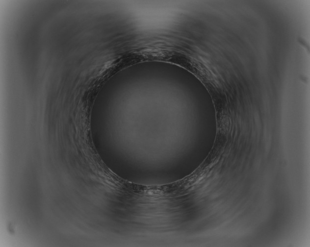X0000091851297200709191048