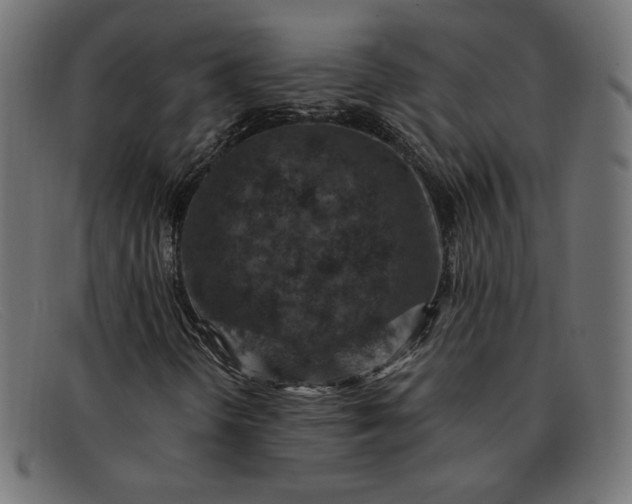 X0000091851298200709191048