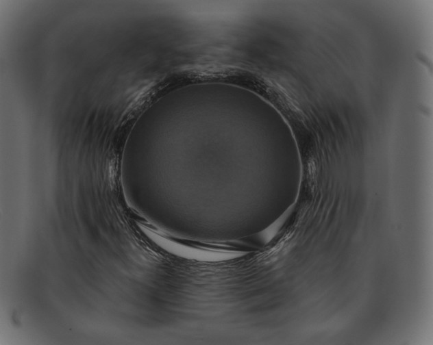 X0000091851300200709191048