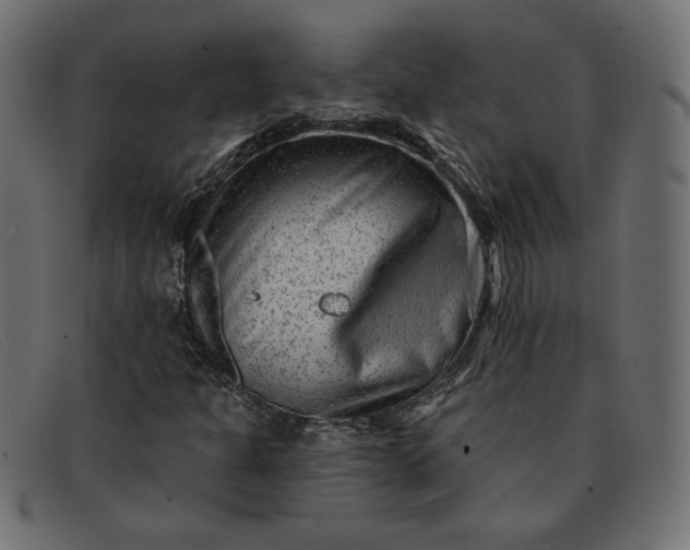 X0000091851301200709191048
