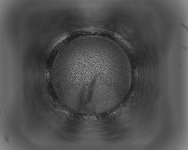 X0000091851302200709191048