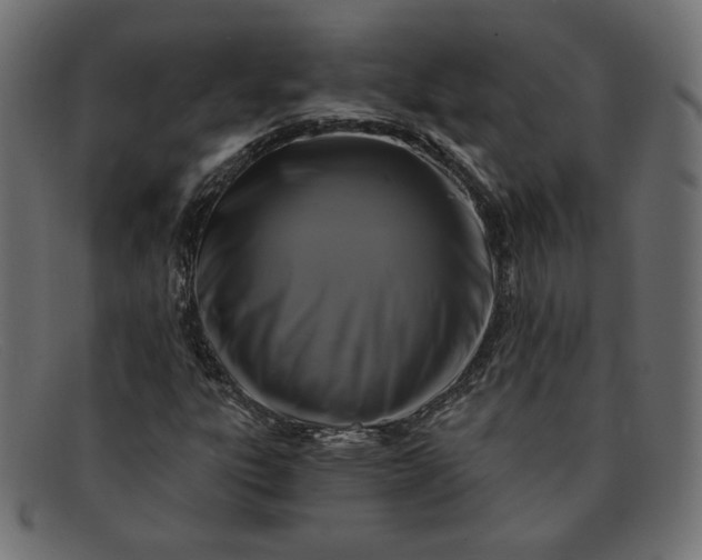X0000091851303200709191048