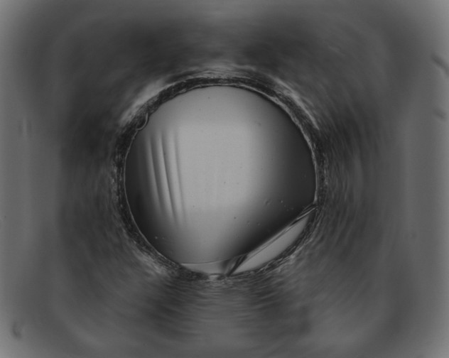 X0000091851304200709191048