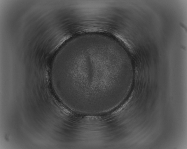 X0000091851305200709191048