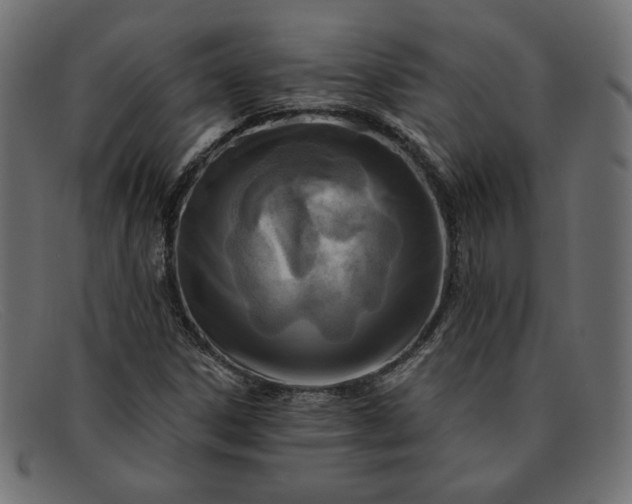 X0000091851306200709191048