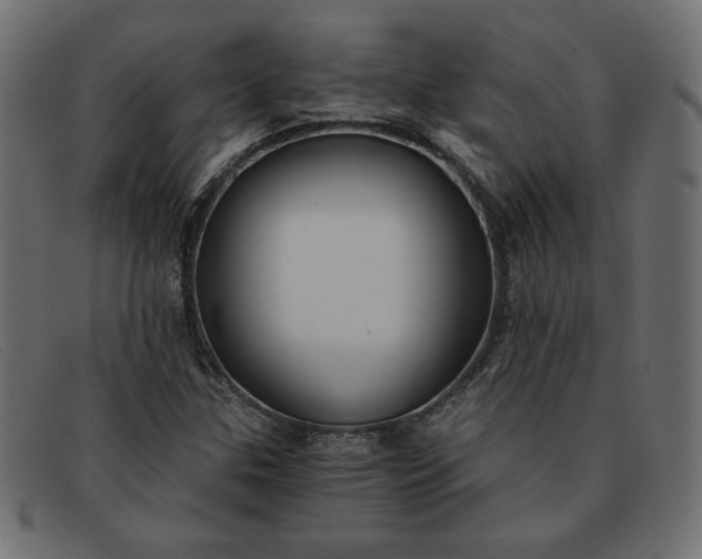 X0000091851307200709191048