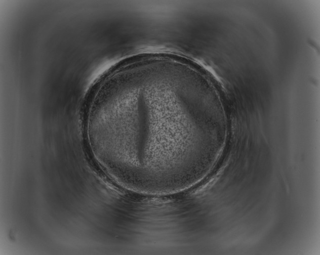 X0000091851311200709191048