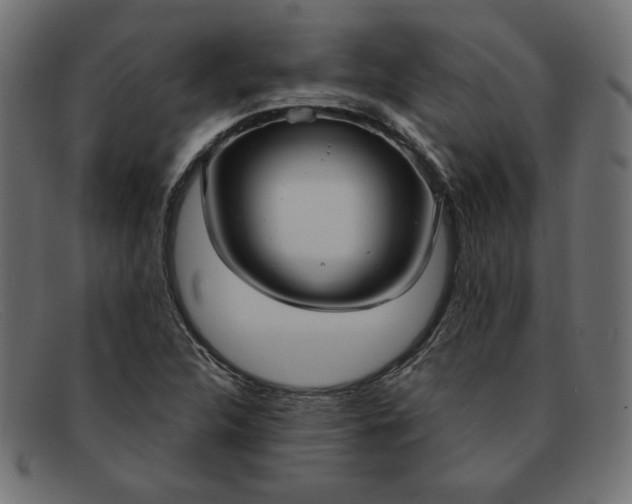 X0000091851312200709191048