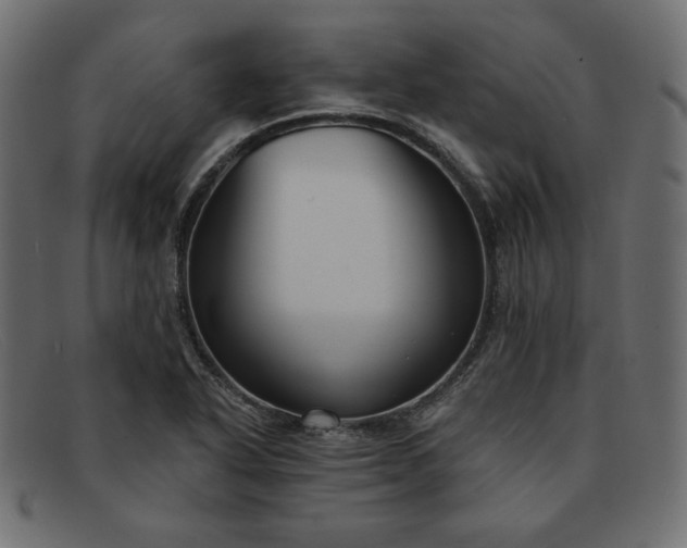 X0000091851318200709191048