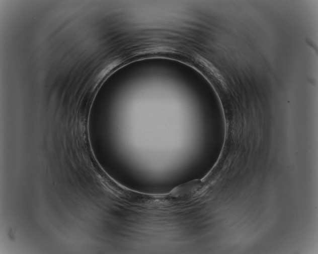 X0000091851321200709191048
