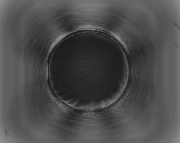 X0000091851323200709191048