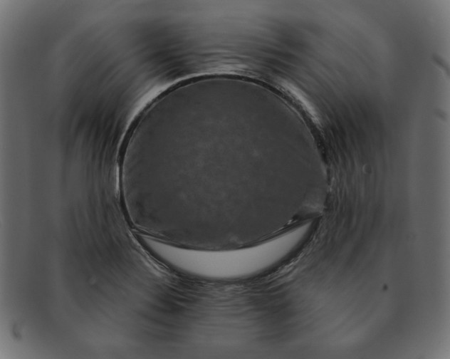 X0000091851324200709191048