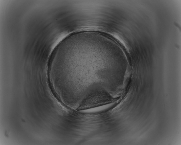 X0000091851325200709191048