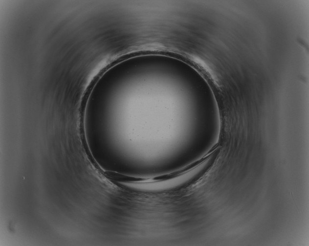 X0000091851326200709191048