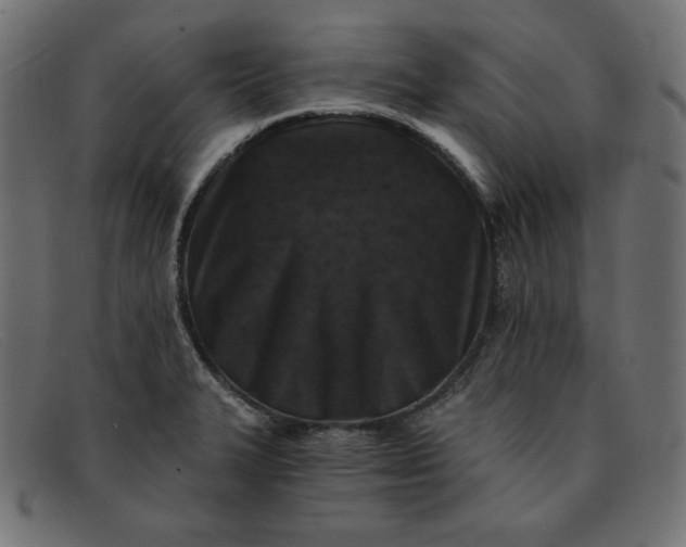 X0000091851327200709191048
