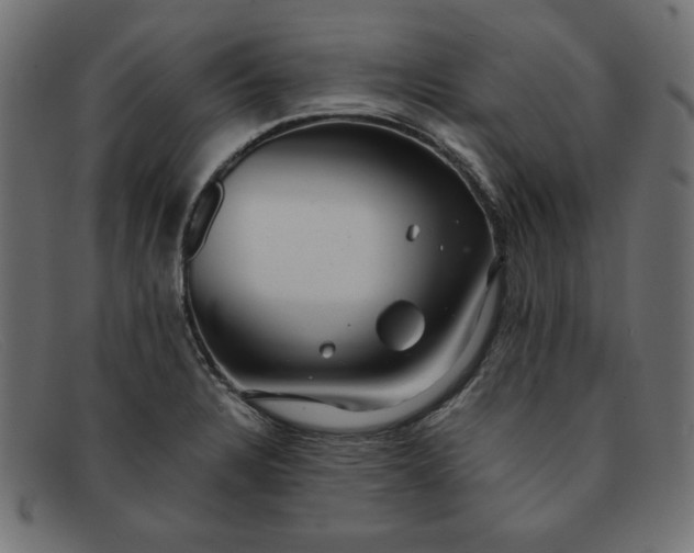 X0000091851328200709191048