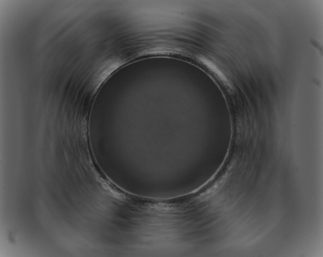 X0000091851329200709191048