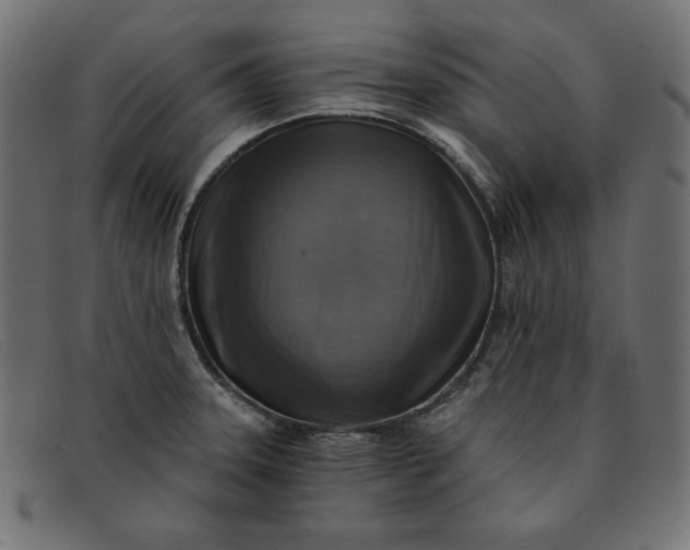 X0000091851331200709191048