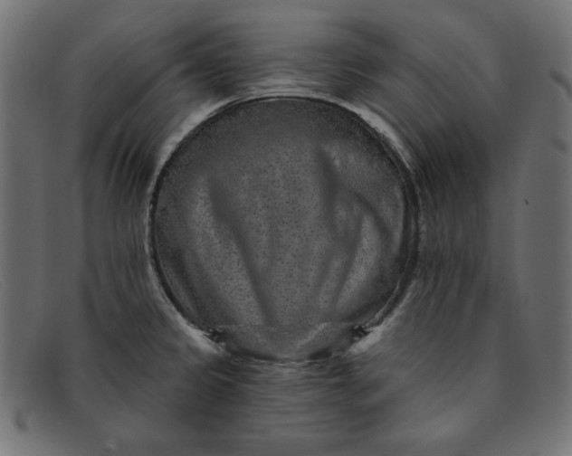 X0000091851333200709191048