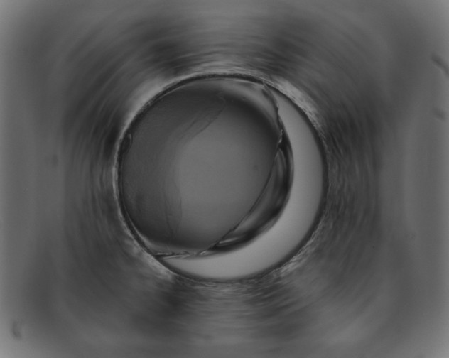 X0000091851334200709191048
