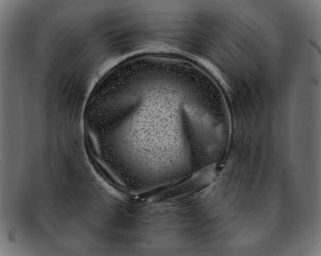 X0000091851335200709191048