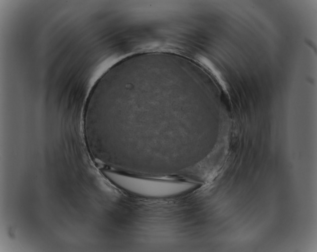 X0000091851336200709191048