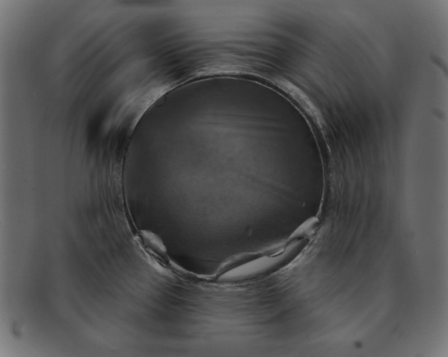 X0000091851337200709191048