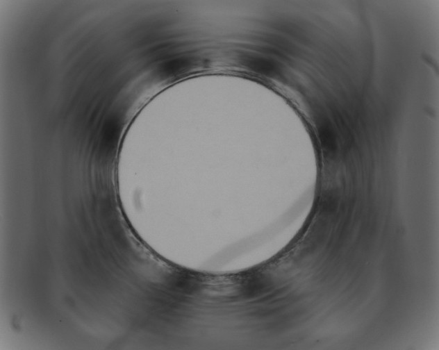 X0000091851338200709191048