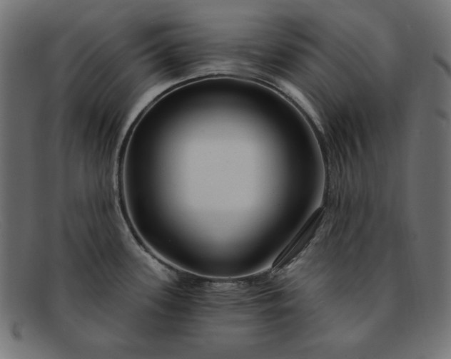 X0000091851339200709191048