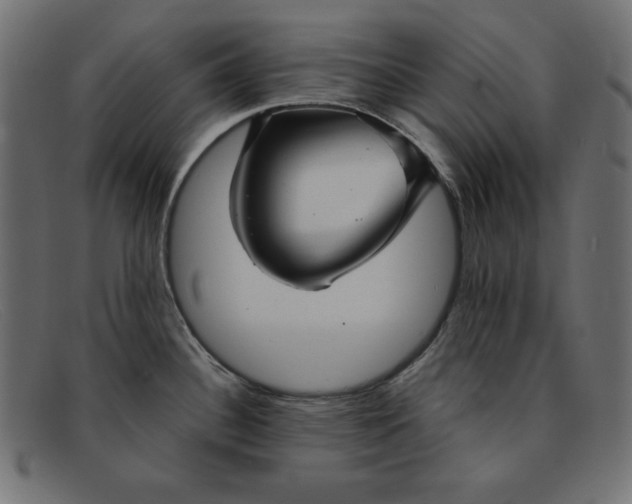 X0000091851340200709191048