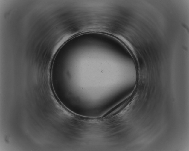 X0000091851341200709191048
