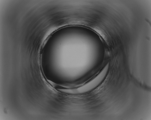 X0000091851342200709191048