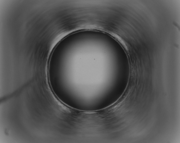 X0000091851343200709191048
