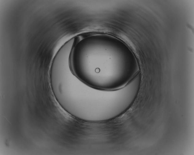 X0000091851344200709191048