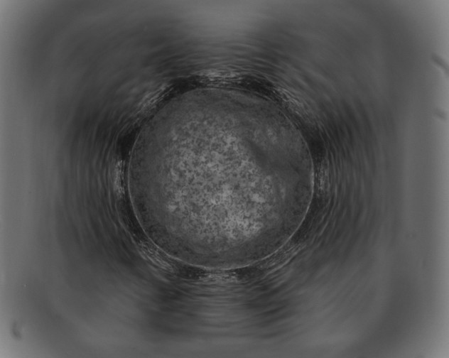 X0000091851346200709191048