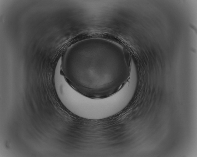 X0000091851348200709191048