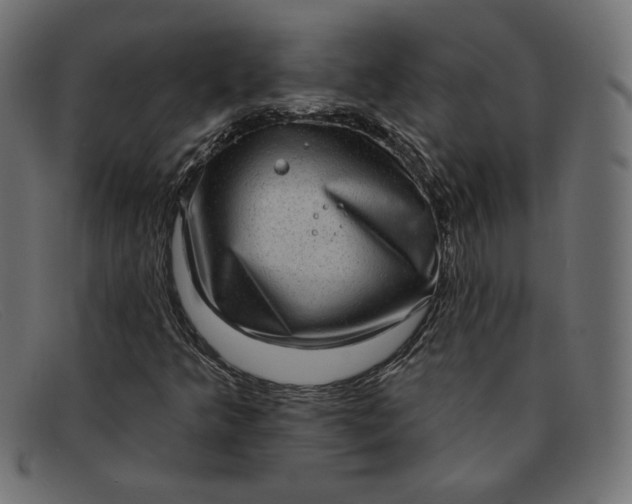 X0000091851349200709191048