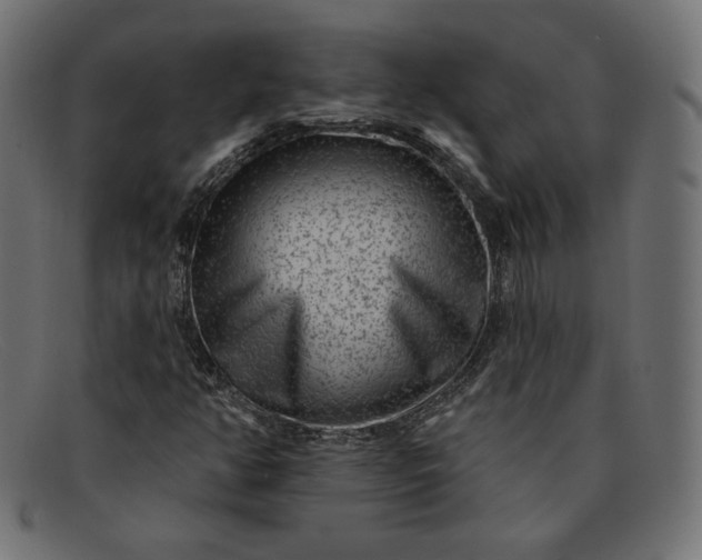 X0000091851350200709191048