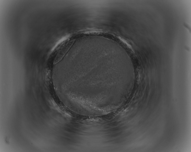 X0000091851351200709191048