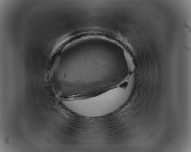 X0000091851352200709191048