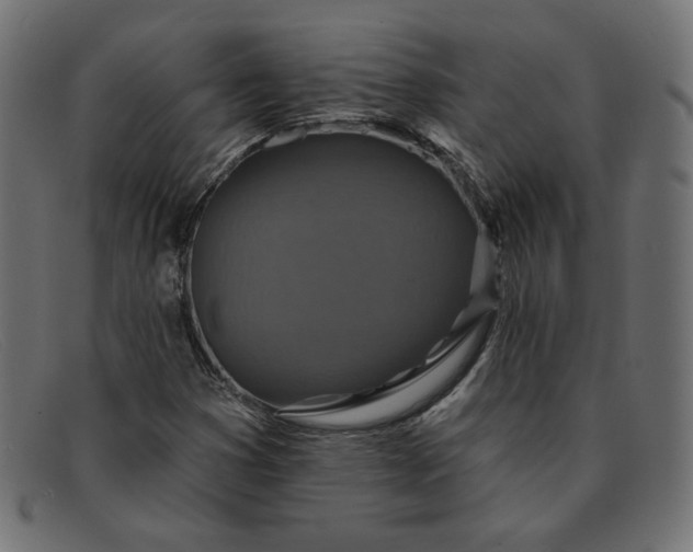 X0000091851353200709191048