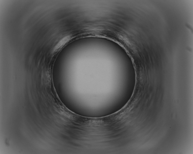 X0000091851354200709191048