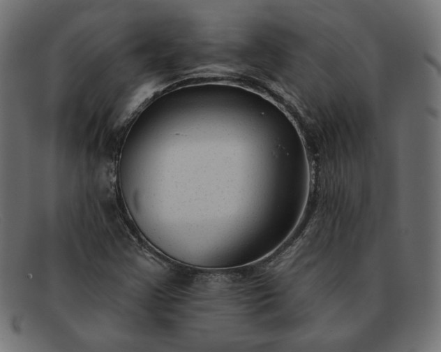 X0000091851355200709191048