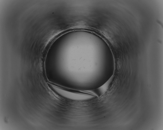 X0000091851356200709191048