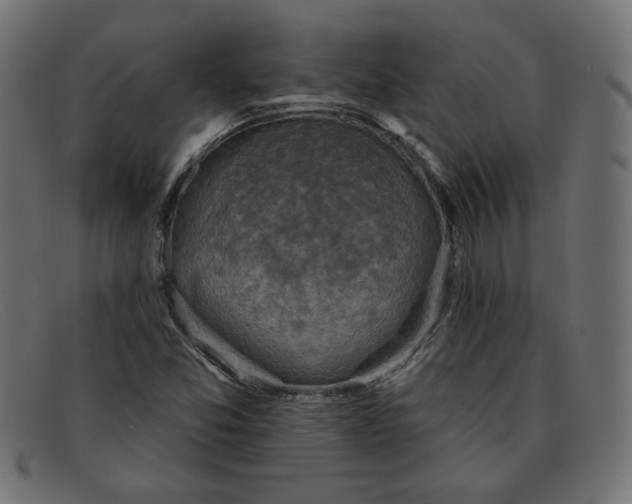 X0000091851357200709191048