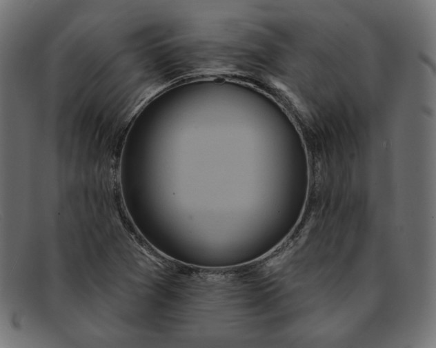 X0000091851361200709191048