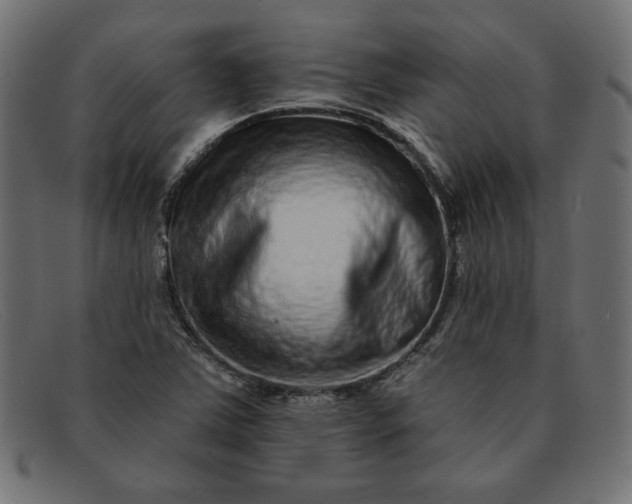 X0000091851363200709191048